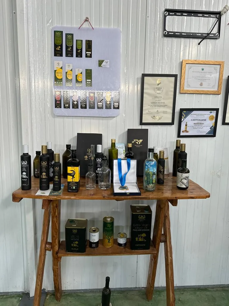 Olive plantation of Al Rajhi-El Ferjani in Tunisia