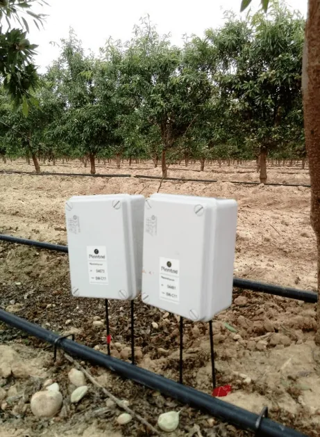Olive grove monitored with Sanzar Group software