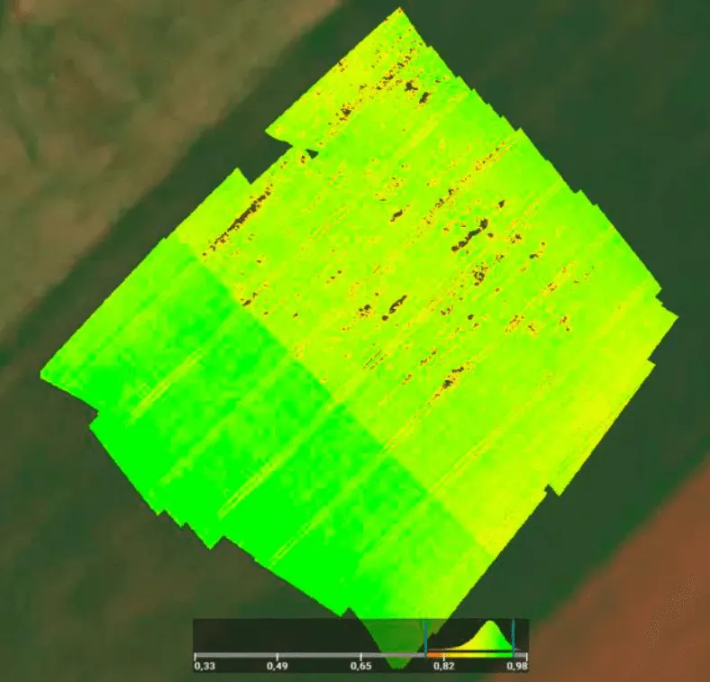 Vegetation index map of the same soybean field