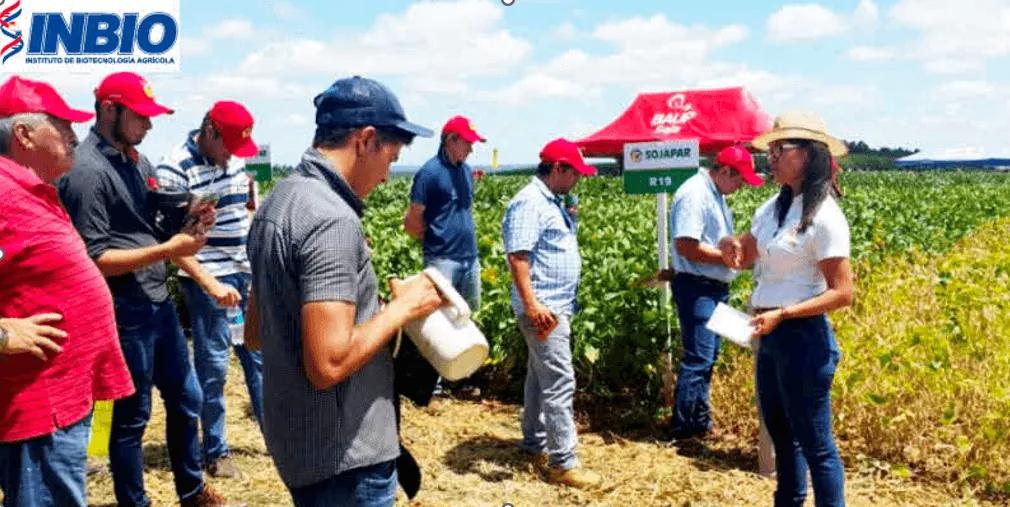 Fertilizer map of a soybean field in Paraguay
