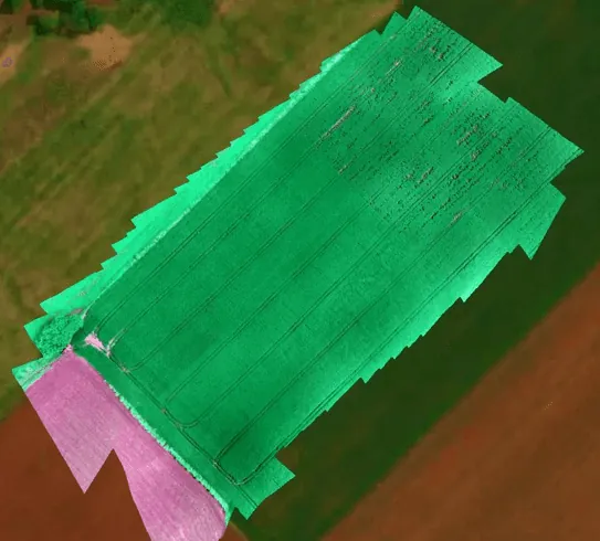 Drone orthomosaic of a soybean field in Paraguay