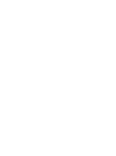 Sanzar Group